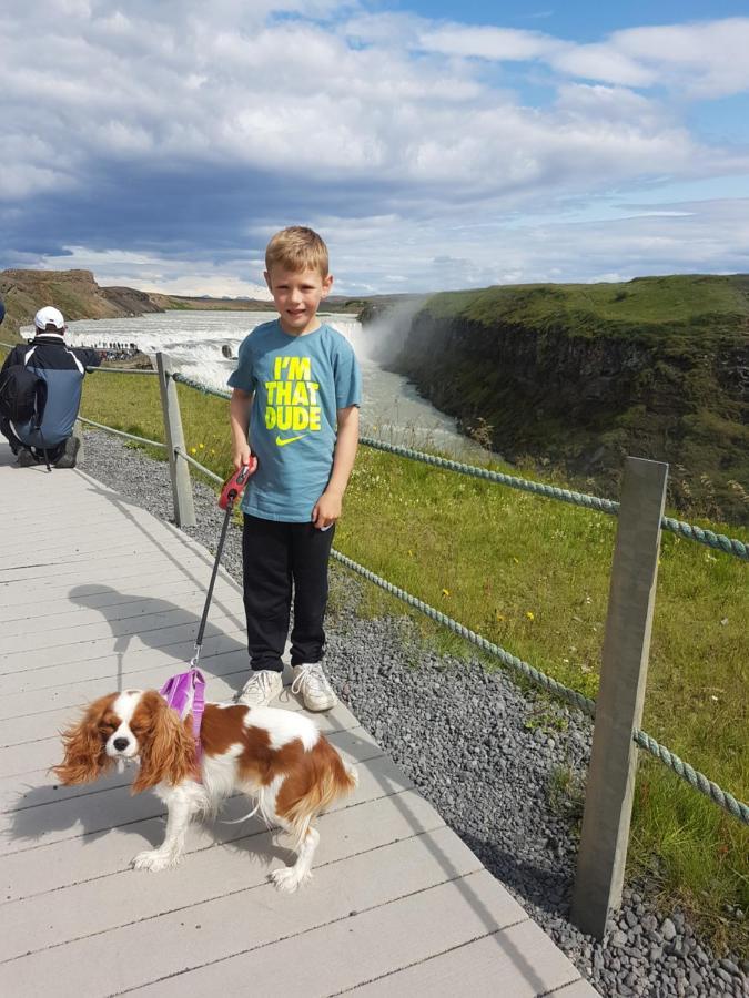 Thingvellir Lake Cottage Veithilundur Екстериор снимка