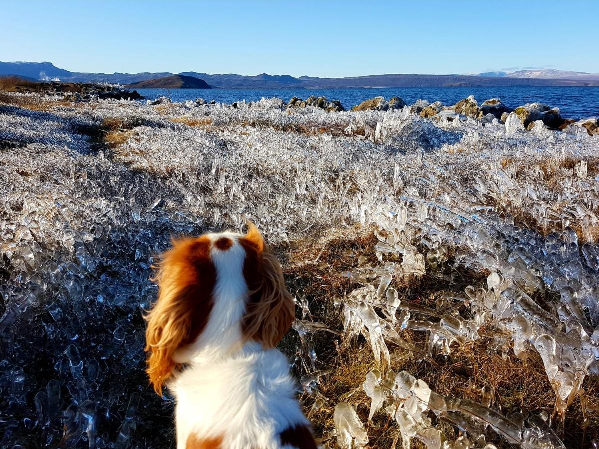 Thingvellir Lake Cottage Veithilundur Екстериор снимка