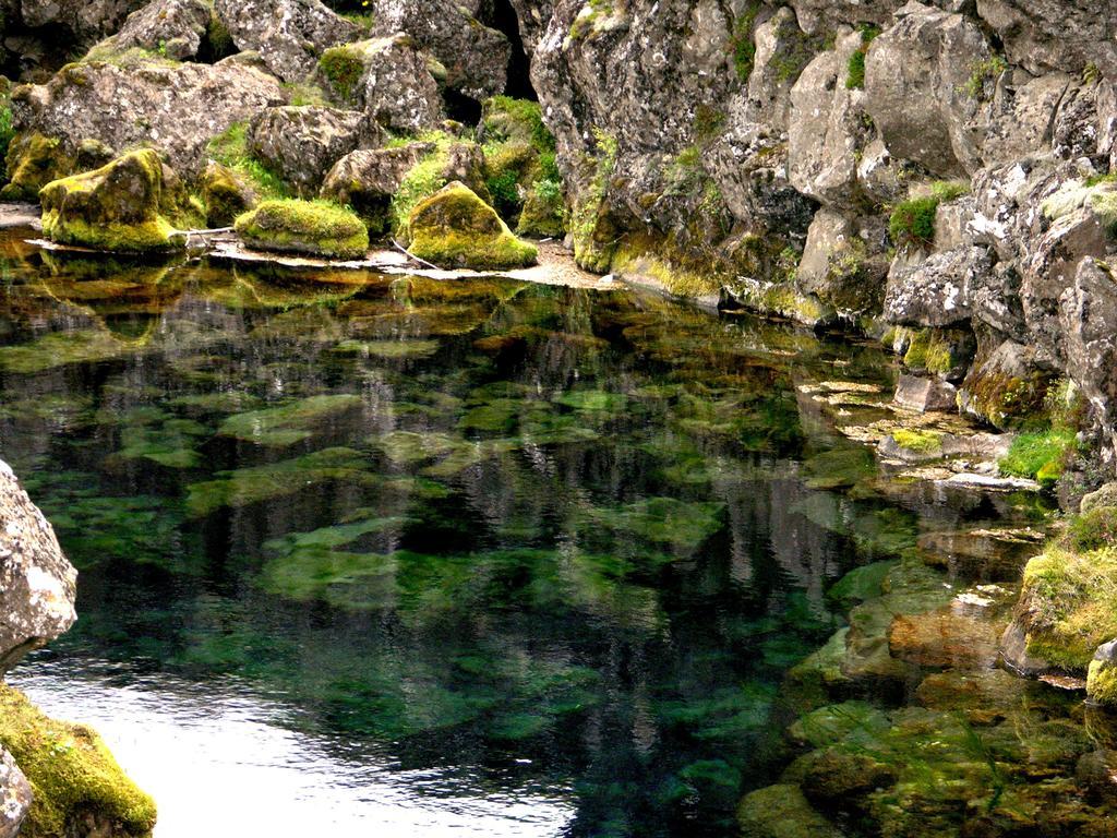 Thingvellir Lake Cottage Veithilundur Стая снимка